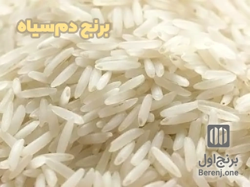 برنج دم‌سیاه