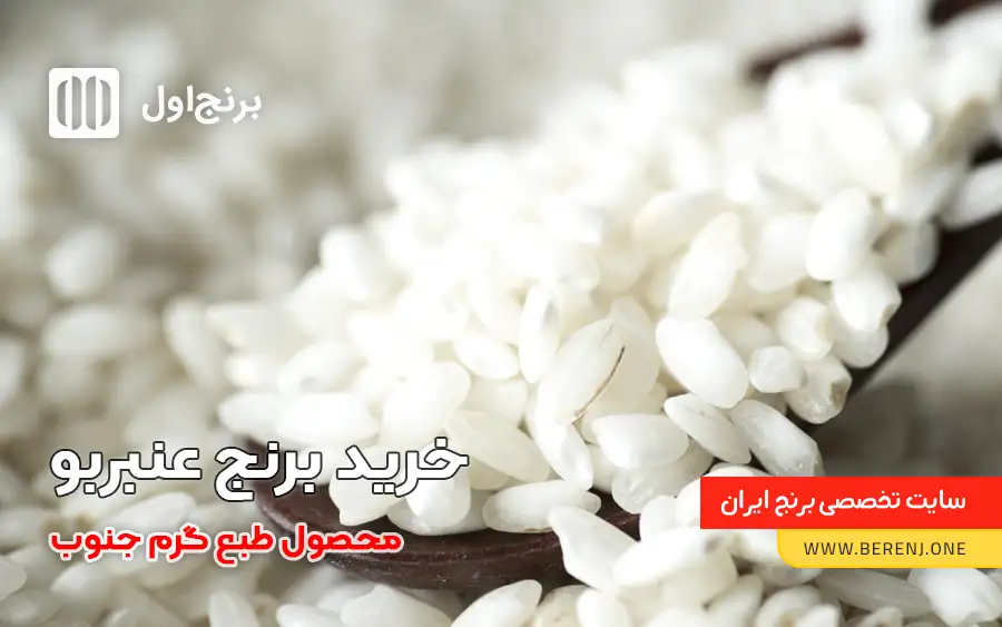 قیمت برنج عنبربو