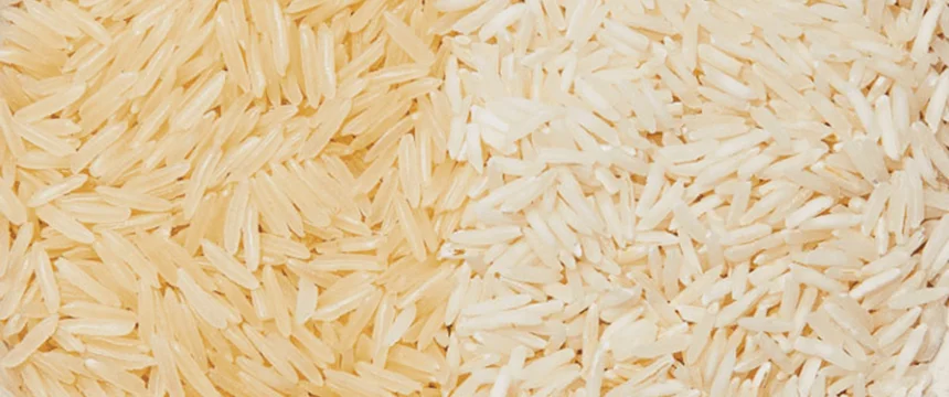 مقایسه برنج کهنه و برنج تازه