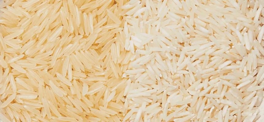 مقایسه برنج کهنه و برنج تازه
