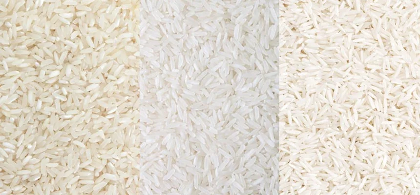 معرفی حرفه‌ای و تخصصی انواع برنج ایرانی