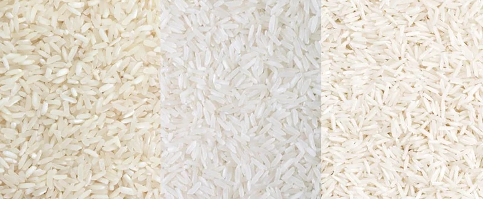 معرفی حرفه‌ای و تخصصی انواع برنج ایرانی