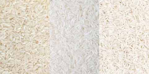انواع برنج ایرانی را بشناسیم