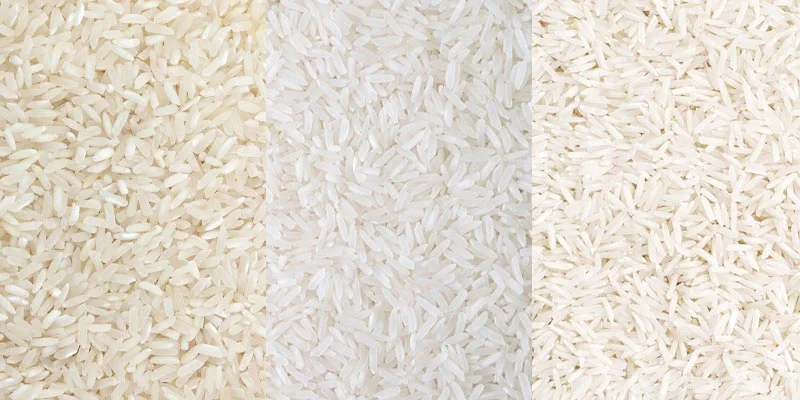 انواع برنج ایرانی را بشناسیم