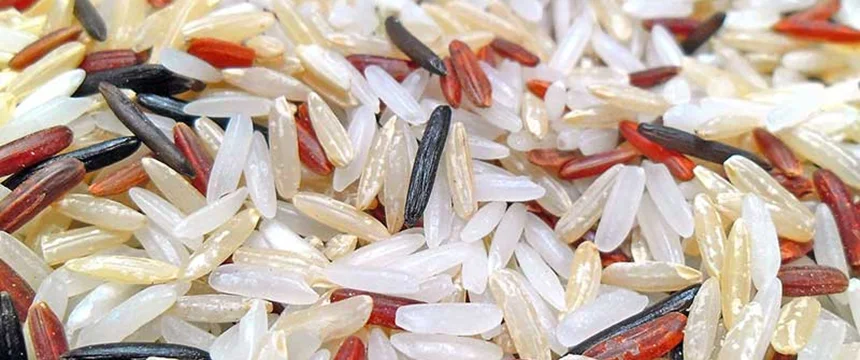 همه چیز درباره تاریخ مصرف برنج