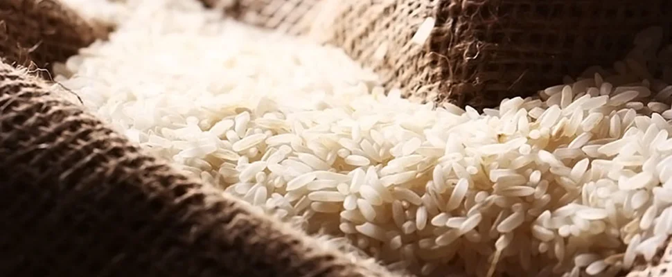 بهترین روش نگهداری از برنج‌ها