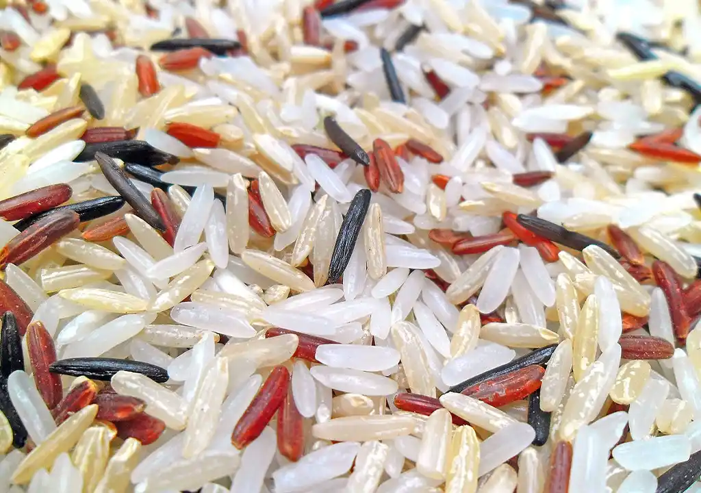 تاریخ مصرف برنج