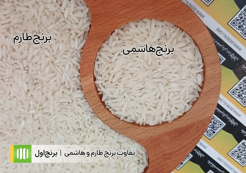 طارم و هاشمی